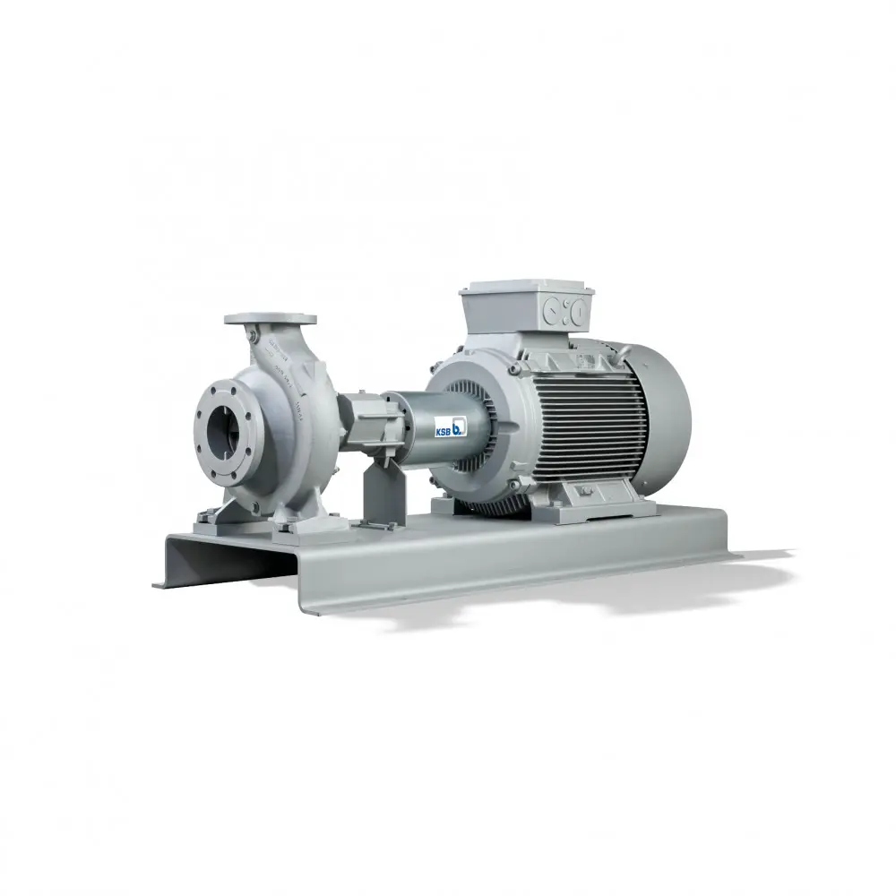 Thermal Oil Pump